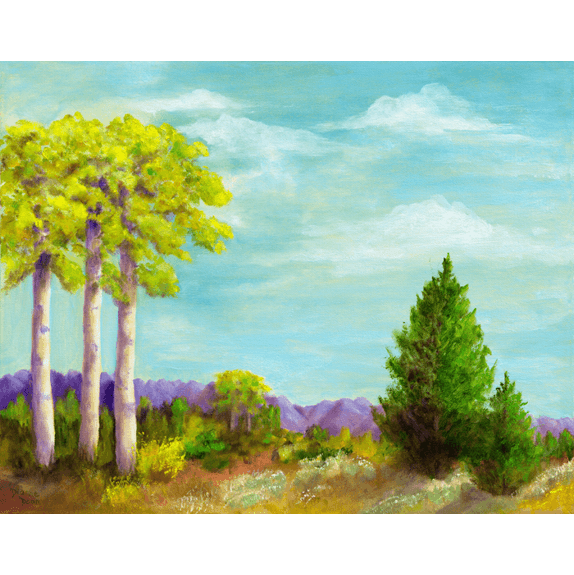 Aspen and Pine - Landscape Oil Painting