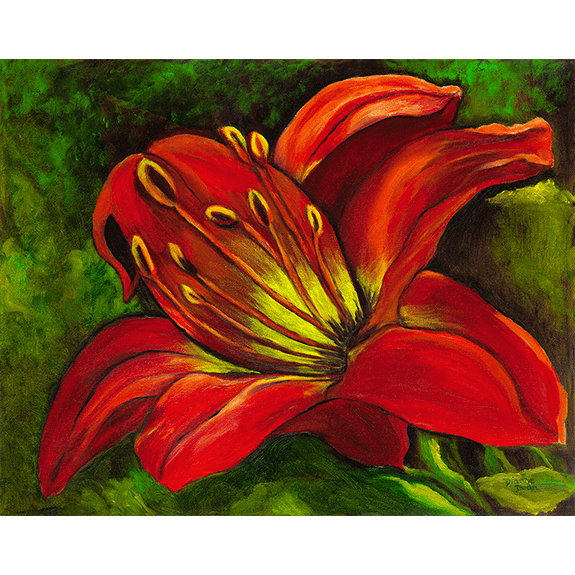 Lily in Red - Limited Edition Prints